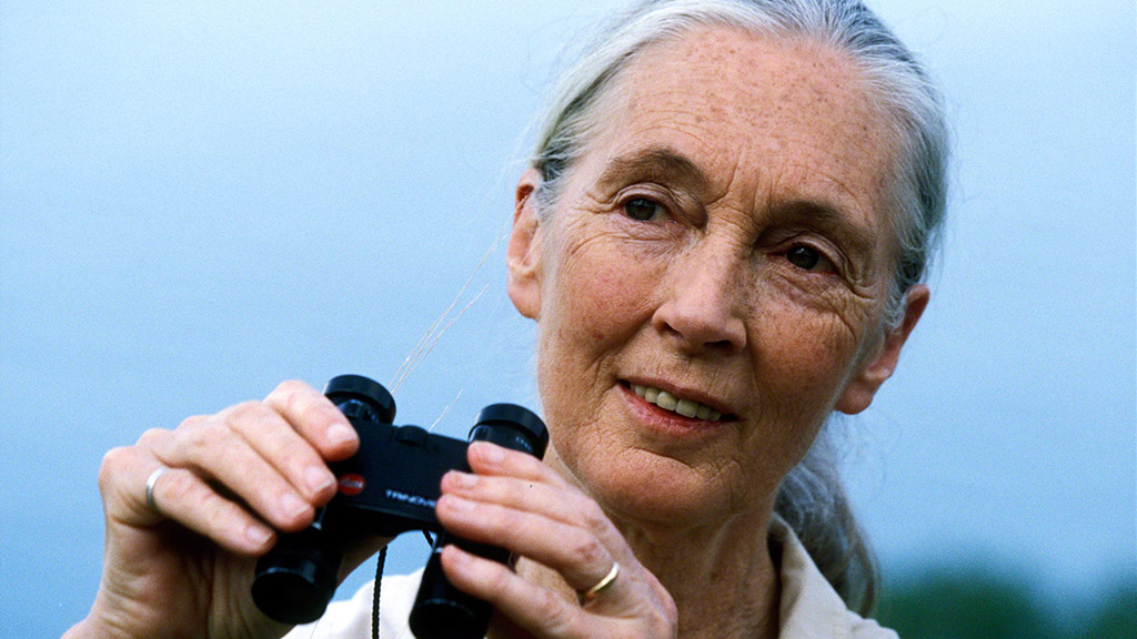 Jane Goodall